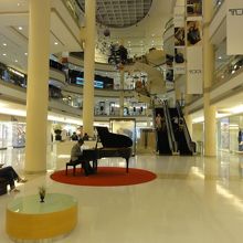 広々としている