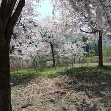 北野天満公園