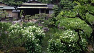 庭園内の散策は追加料金必要