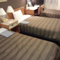 ツインルームを補助ベッドを使用してトリプル利用しました