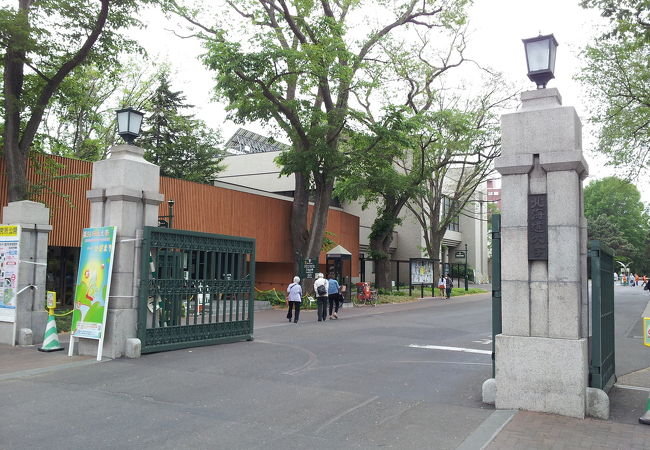 北海道大学