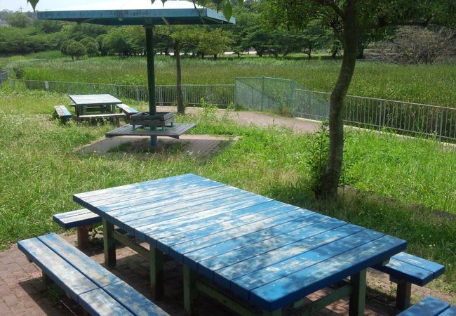 草が生い茂り、池がよく分かりませんでした。