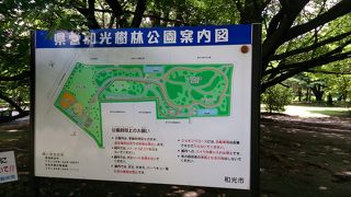 木々の中のジョギングコースです