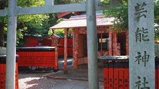 人気運UPの神社さん