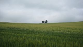 まさにホッとする風景！