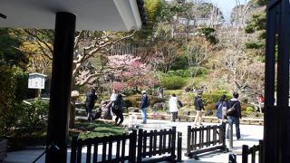 大相撲の力士や有名人などによる豆撒きが行われる鎌倉長谷寺の節分会