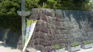 アリオカジョウセキ