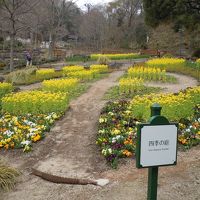 神戸布引ハーブ園/ロープウェイ