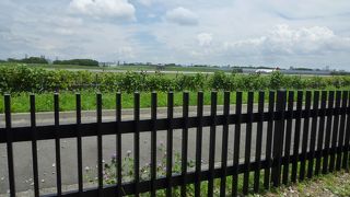 伊丹空港へ行った際には是非