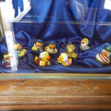 音楽家あひるさん♪