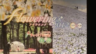 チューリップの開花の時期もいいです