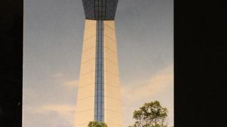 マリンタワーの周辺には桜も沢山あります