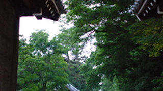 京都御苑を散策