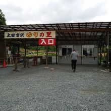 入園料は大人一人1,000円