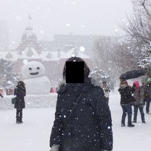 風吹の中の北海道庁旧本庁舎 