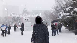 風吹でしたが北海道らしくて良かったです
