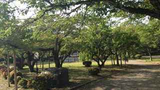 彦根城のお隣にある公園!!