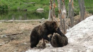 バンクーバーを見渡せる