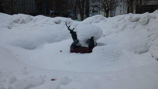 夏にまた来てみたいです