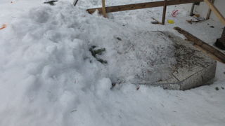 また夏に見に来たいです