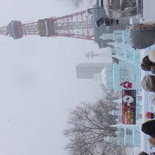 東京タワーに比べると小さい