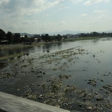 渡月橋からの桂川