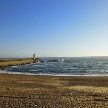 海岸は砂浜でした。