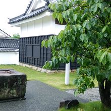 観光案内所前の風景