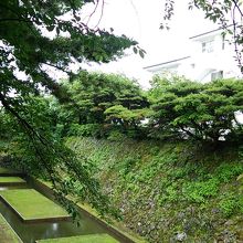 素敵な佇まい。しばし時間を忘れます