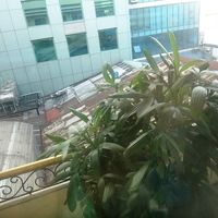 部屋からの眺め