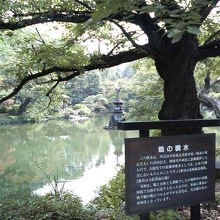 涼しげに水を噴出していました。