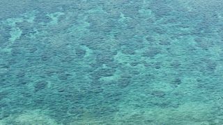 ドライブ途中のビュースポット