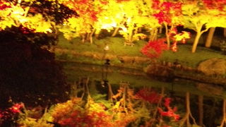 冬のイルミネーションといえば～なばなの里！！