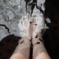 ドクターフィッシュ半端なくつついてきます！