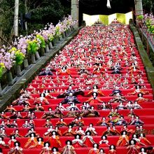 遠見岬(とみさき)神社の石段一面におよそ1,200体の人形
