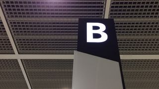 飲食はなかなかよくなっています。