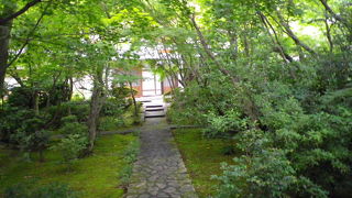 八幡のもみじ寺は新緑でむせ返るようでした。