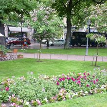 みごとなお花達