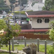 手軽に楽しめる動物園