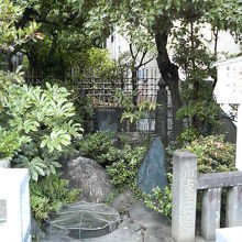 井戸は金網で覆われていました。