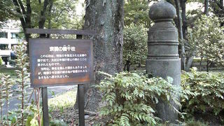 京橋付近にある欄干柱ともよく似た形です。