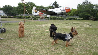 無料ドッグランに日本庭園に博物館と盛りだくさんの広々県営公園！(^_-)-☆