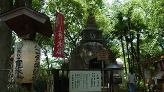 こんなに目立つものなのに知る人は多くない