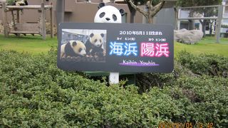 近くで動物を見ることができます！