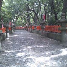 入口付近の参道の様子