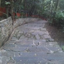 緩勾配の石畳道の様子