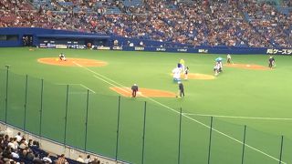 家族で野球観戦