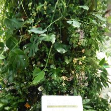 ランドケープアーティスト　石原和幸氏の作品