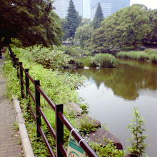 ベンチに座って池を眺められます。