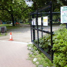 柵で囲まれているのが、どこか都会っぽいです。